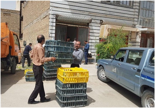 کشف 15 هزار کیلوگرم گوشت غیرمجاز و مرغ زنده در کرمانشاه 1