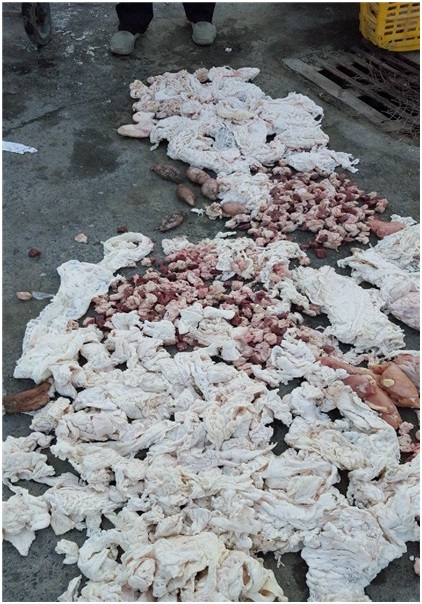 کشف 15 هزار کیلوگرم گوشت غیرمجاز و مرغ زنده در کرمانشاه 6