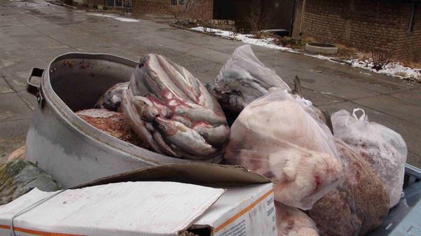 کشف موادغذایی فاسد 5