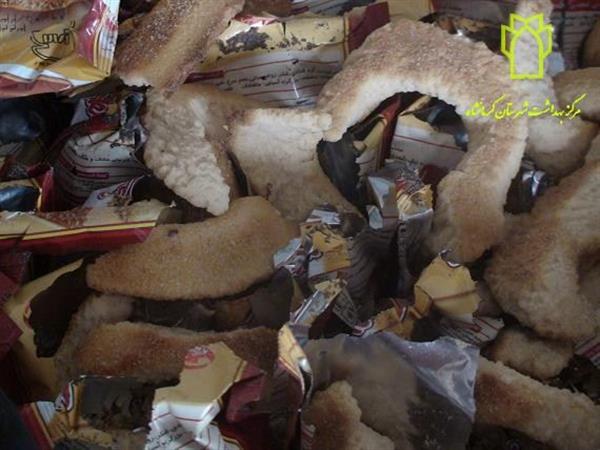 معدوم سازی مواد غذایی 9