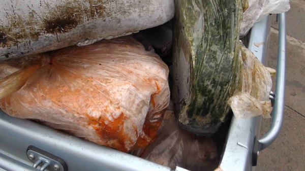 کشف موادغذایی فاسد 4