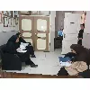 بازدید مشترک مرکز بهداشت شهرستان کرمانشاه و اداره بهزیستی از خانه‌های سالمندان