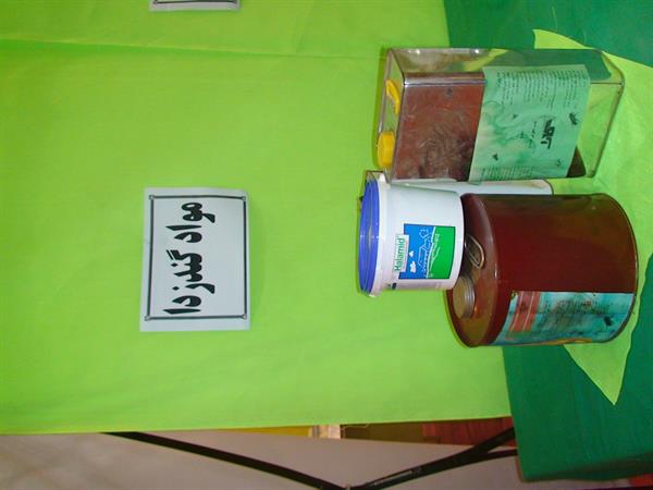 بهداشت محیط شهرستان کرمانشاه درهفته بلایای طبیعی سال1389 15