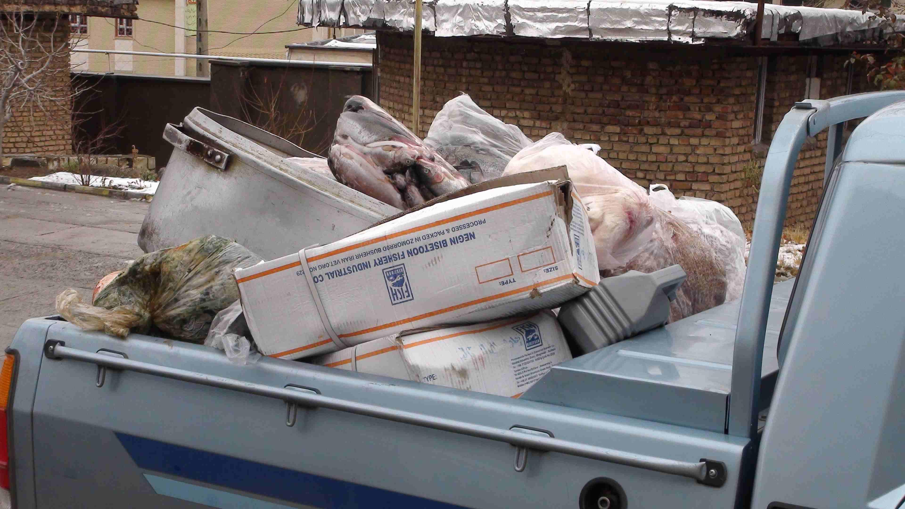 کشف موادغذایی فاسد 2