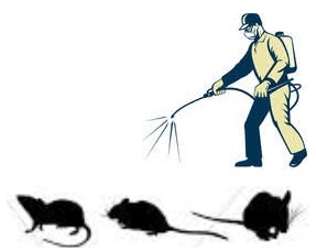 مبارزه با حشرات و جوندگان