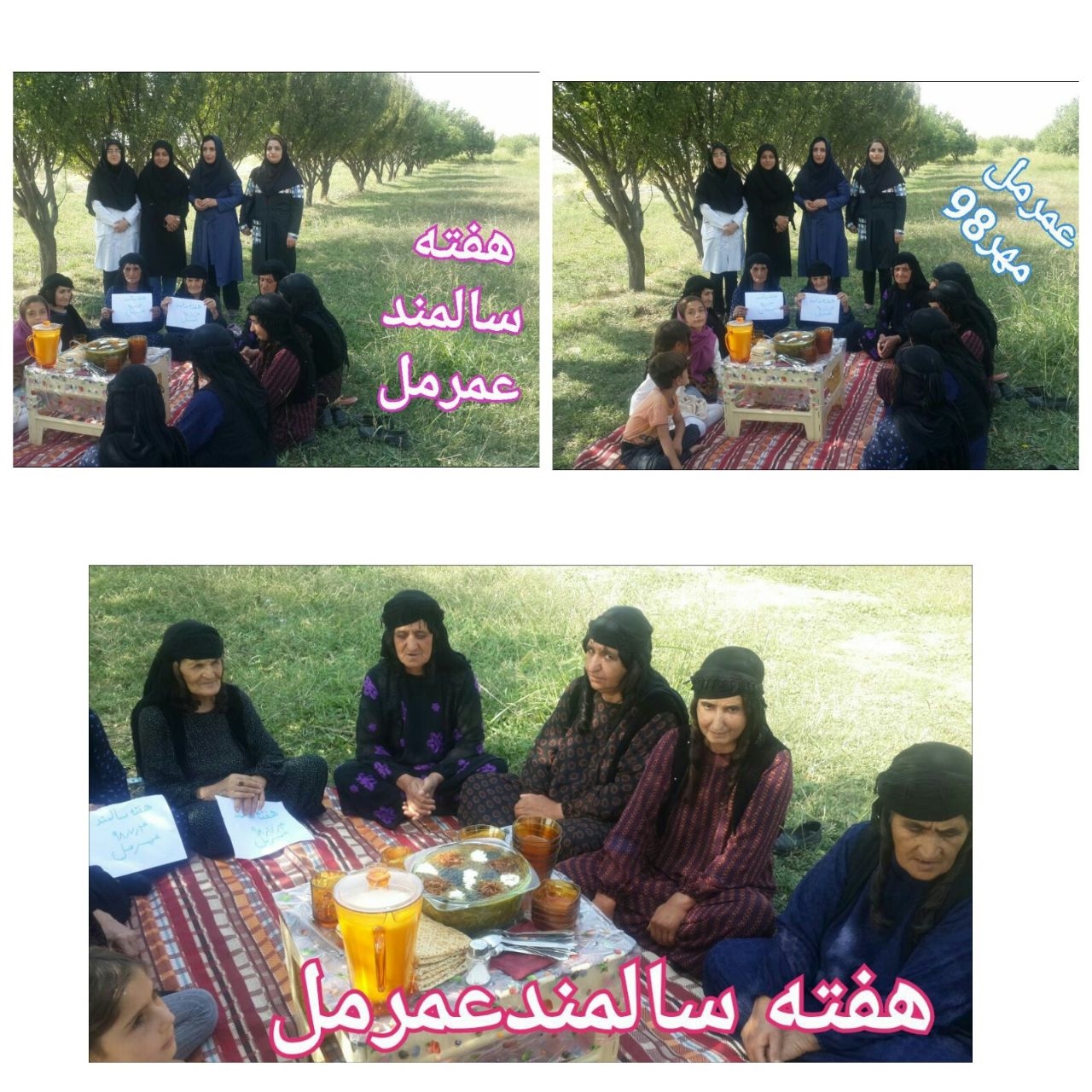 برگزاری جشنواره غذا وتوزیع صبحانه سالم: 5