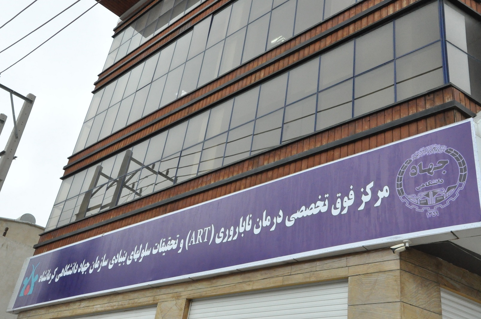 کارگاه ناباروری  4