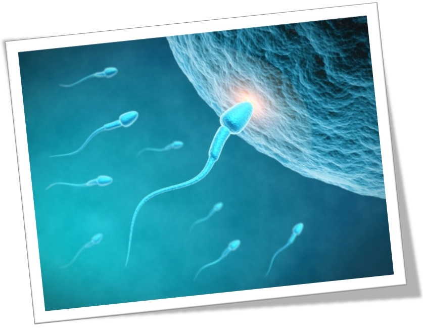 درمان ناباروری