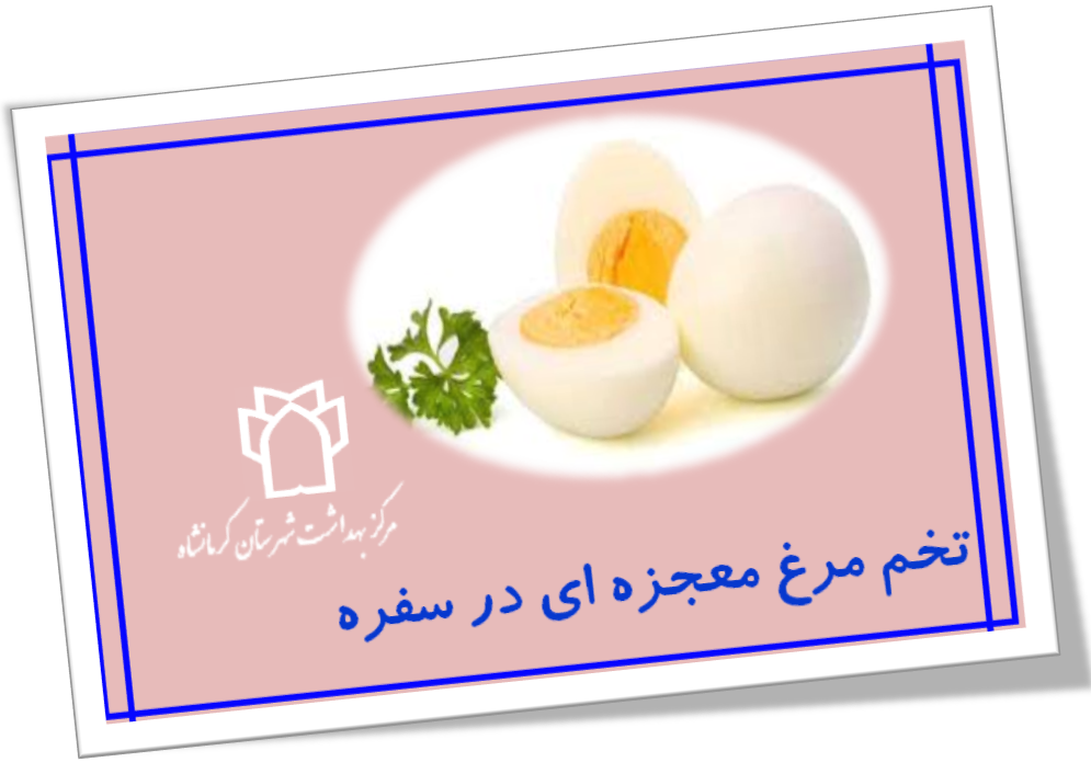 روز جهانی تخک مرغ