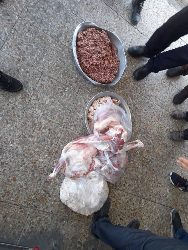 محیط 8