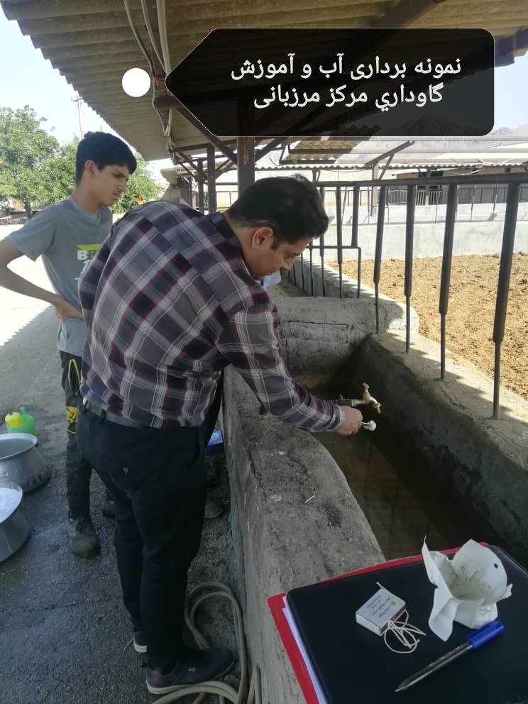 آموزش کارکنان گاوداری ها درخصوص سل گاوی