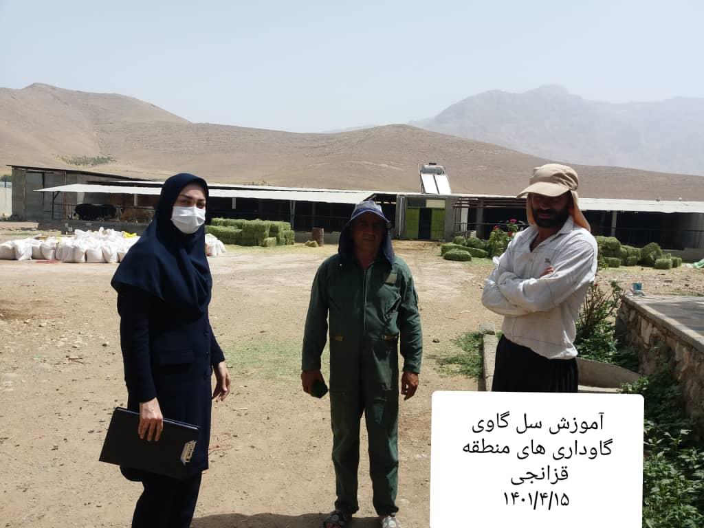 آموزش کارکنان گاوداری ها درخصوص سل گاوی