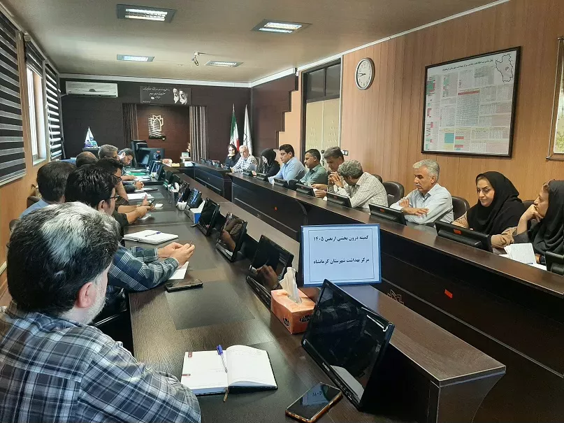 کمیته درون بخشی اربعین  3