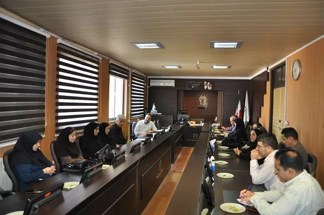 بیماریها  4