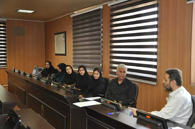 بیماریها  2