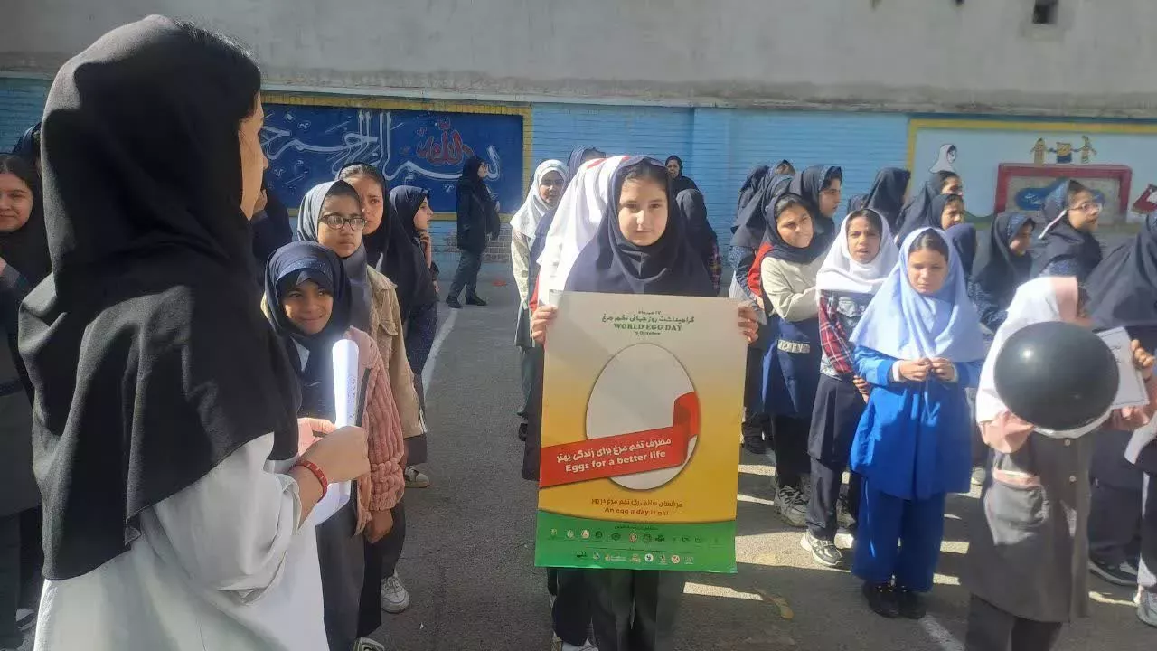 روز جهانی تخم مرغ  13